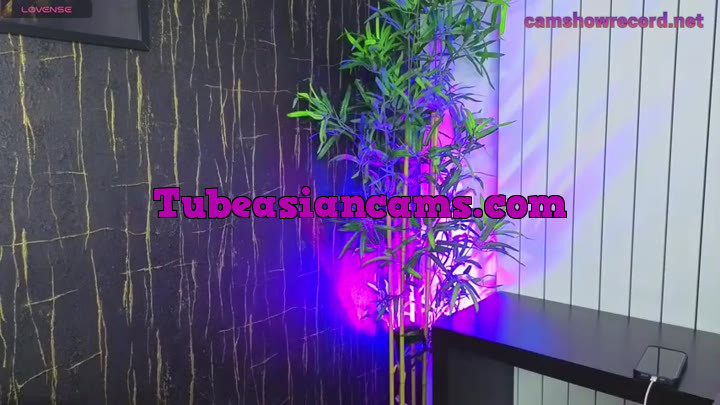 AlyseReuse Camshow From stripchat 7/12/2025